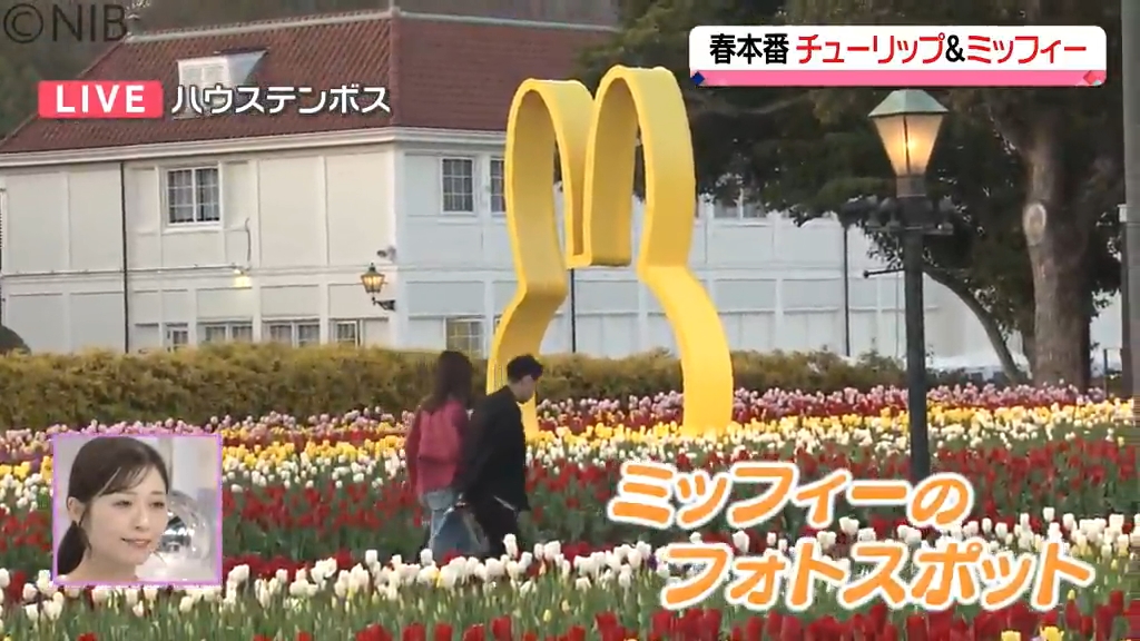 中継】春らんまん 花の街で100万本のチューリップとミッフィー