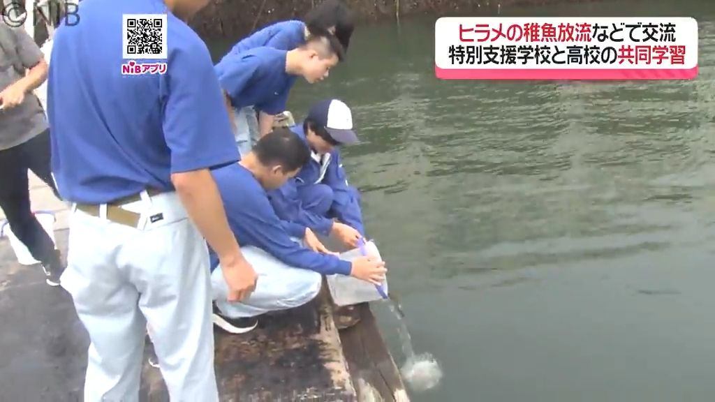 特別支援学校・高等部と鶴洋高校の共同学習」ヒラメの稚魚放流など学習 