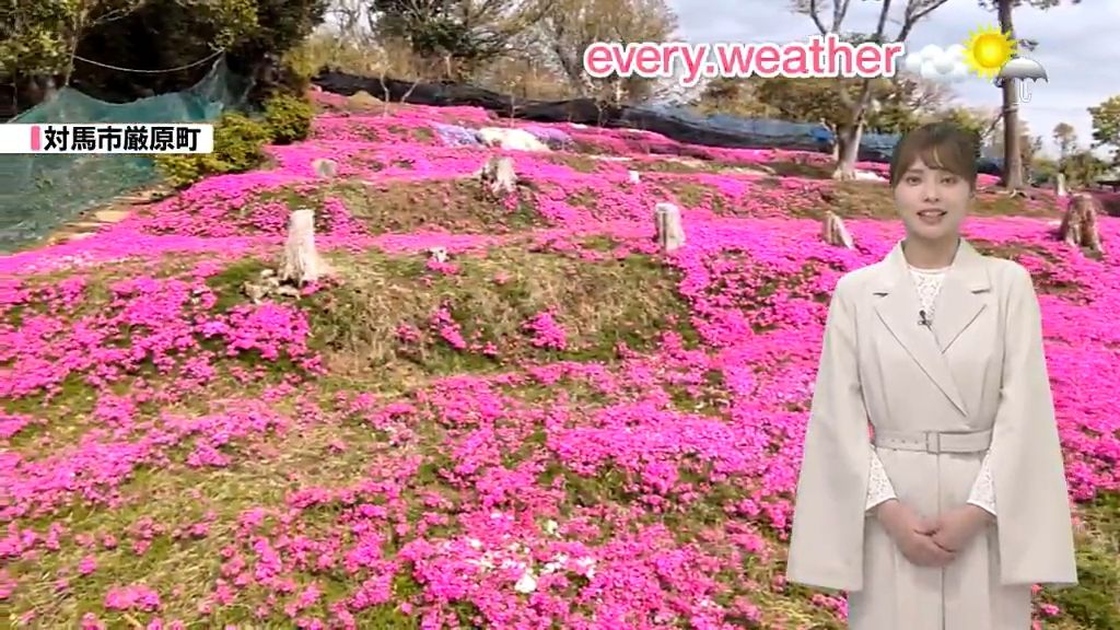 【天気】17日の最高気温は5月中旬並み　対馬市では「シバザクラ満開」まるで花のじゅうたん《長崎》