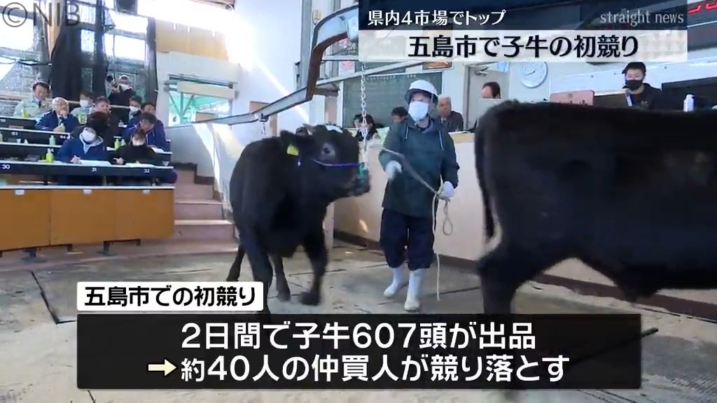 五島市で子牛の初競り　価格の下落が続いても高品質の牛づくりに注力《長崎》