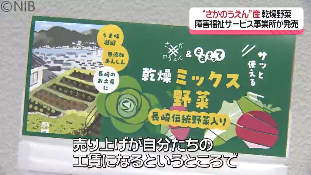 唐人菜や辻田白菜など伝統野菜も！農福連携で誕生「乾燥野菜」障害福祉サービス事業所が製造・販売《長崎》