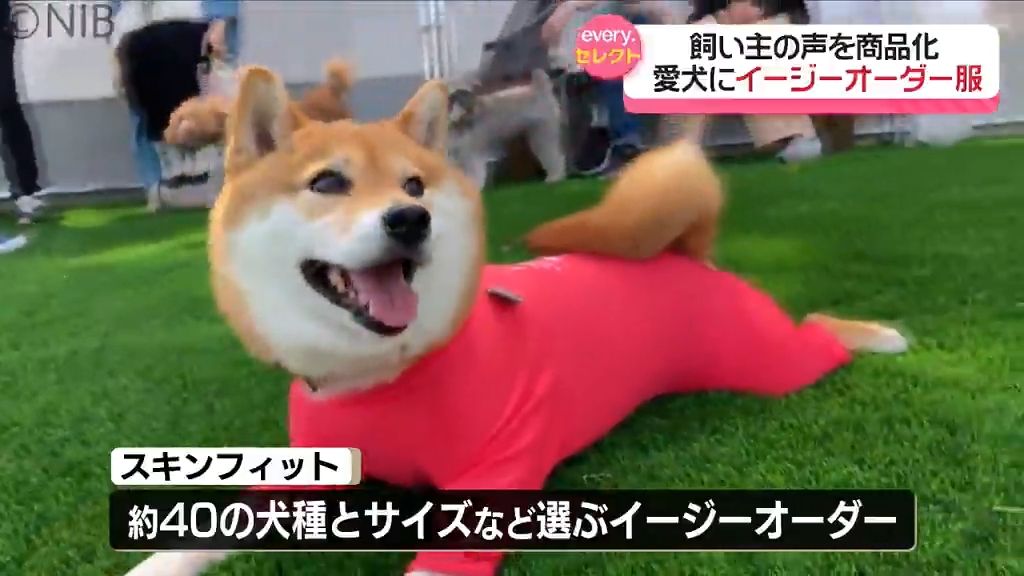 愛犬の虫よけや日焼け防止にも「イージーオーダー服」ベビー服の縫製会社が飼い主の声を商品化《長崎》