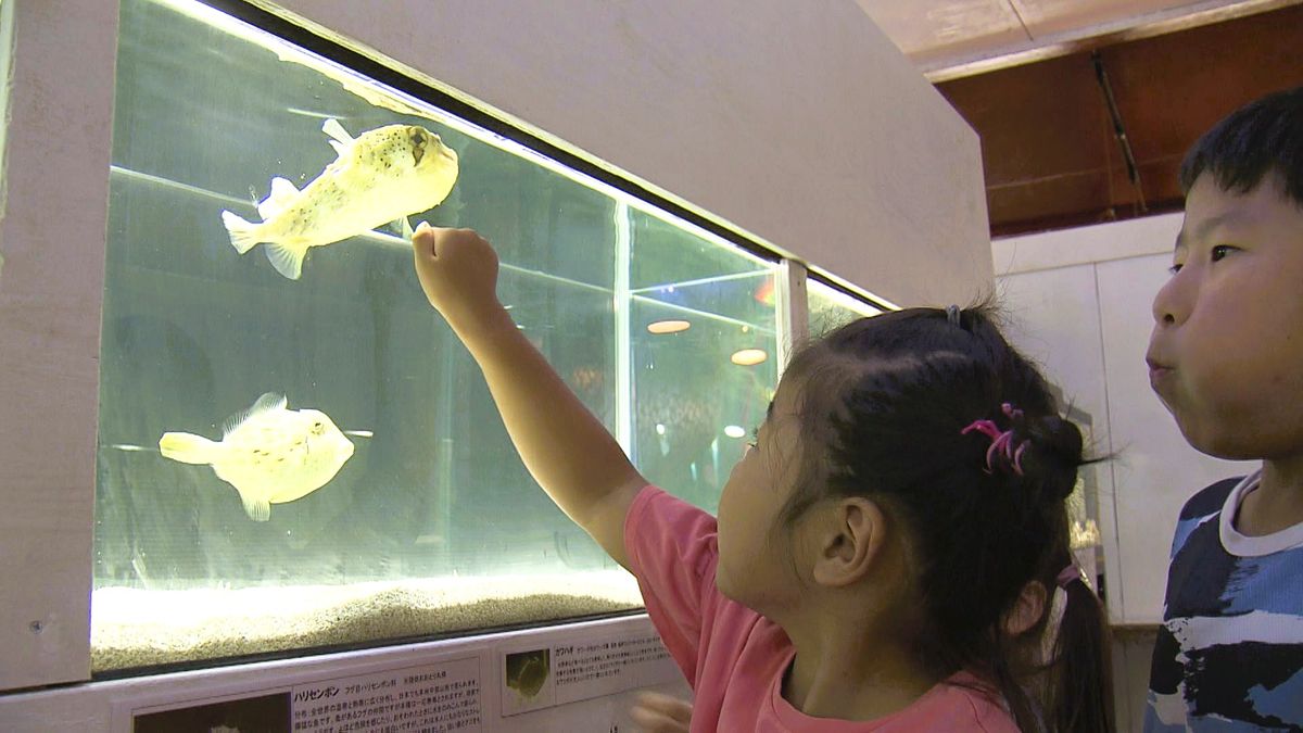 子どもたちに人気の「小さな手作り水族館」がピンチ　管理維持費用など運営厳しく経営安定急ぐ《長崎》