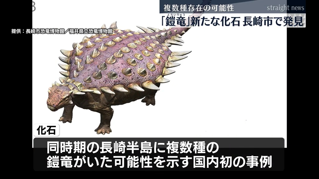 国内初の事例「同時期に複数種の鎧竜が生息の可能性」長崎で鎧竜の歯の