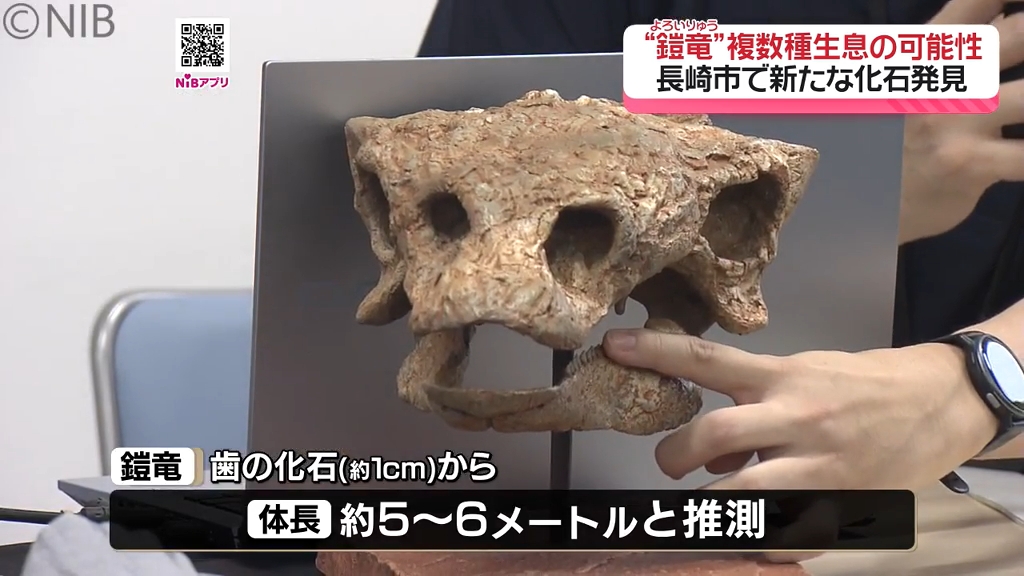 国内初の事例「同時期に複数種の鎧竜が生息の可能性」長崎で鎧竜の歯の