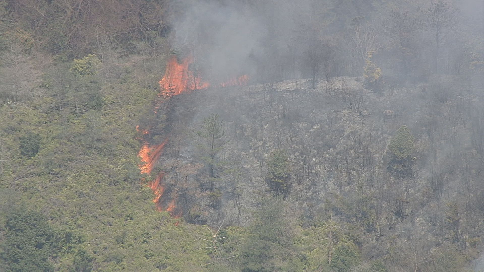 246dcc9d-7427-4860-9953-