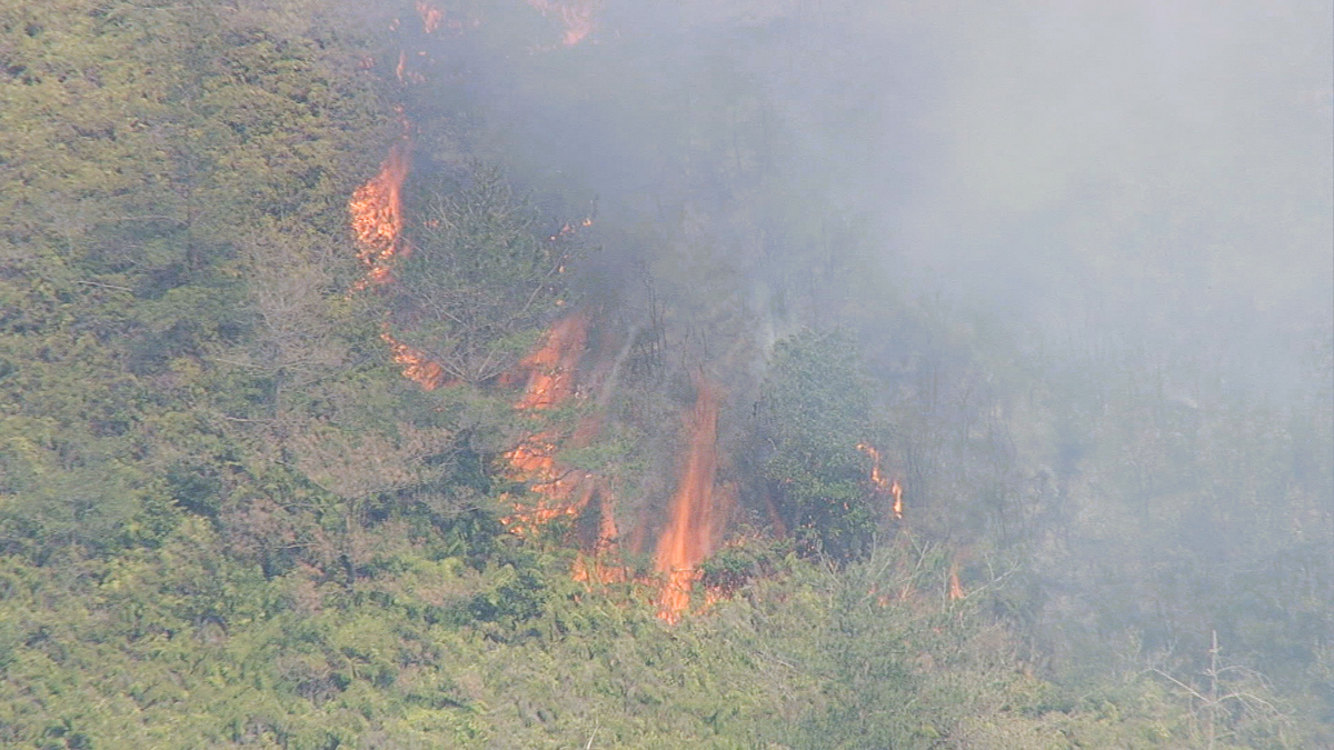 【五島市で山火事】 現在も延焼中 市が約1500人に避難指示 ケガ人の情報はなし《長崎》