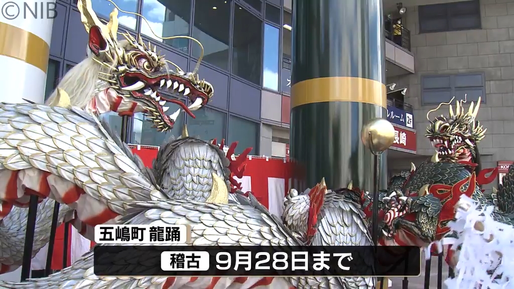 長崎くんち開幕まであと3週間「最強の龍踊をお見せしたい」五嶋町が