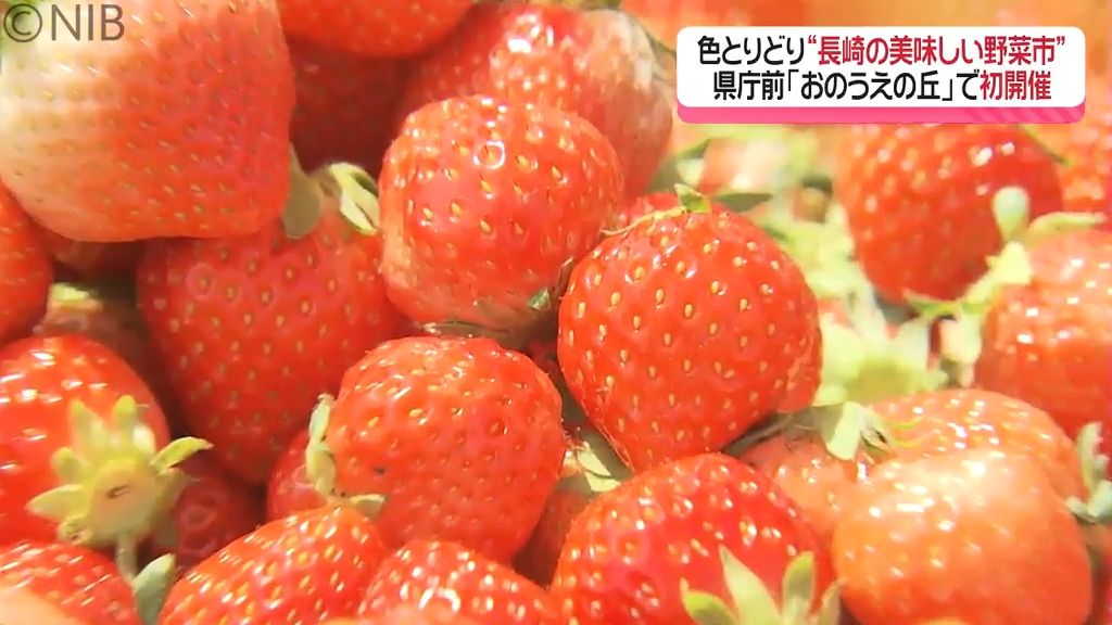 とれたての農産物がいっぱい「長崎の美味しい野菜市」県庁前 “おのうえの丘”で初開催《長崎》