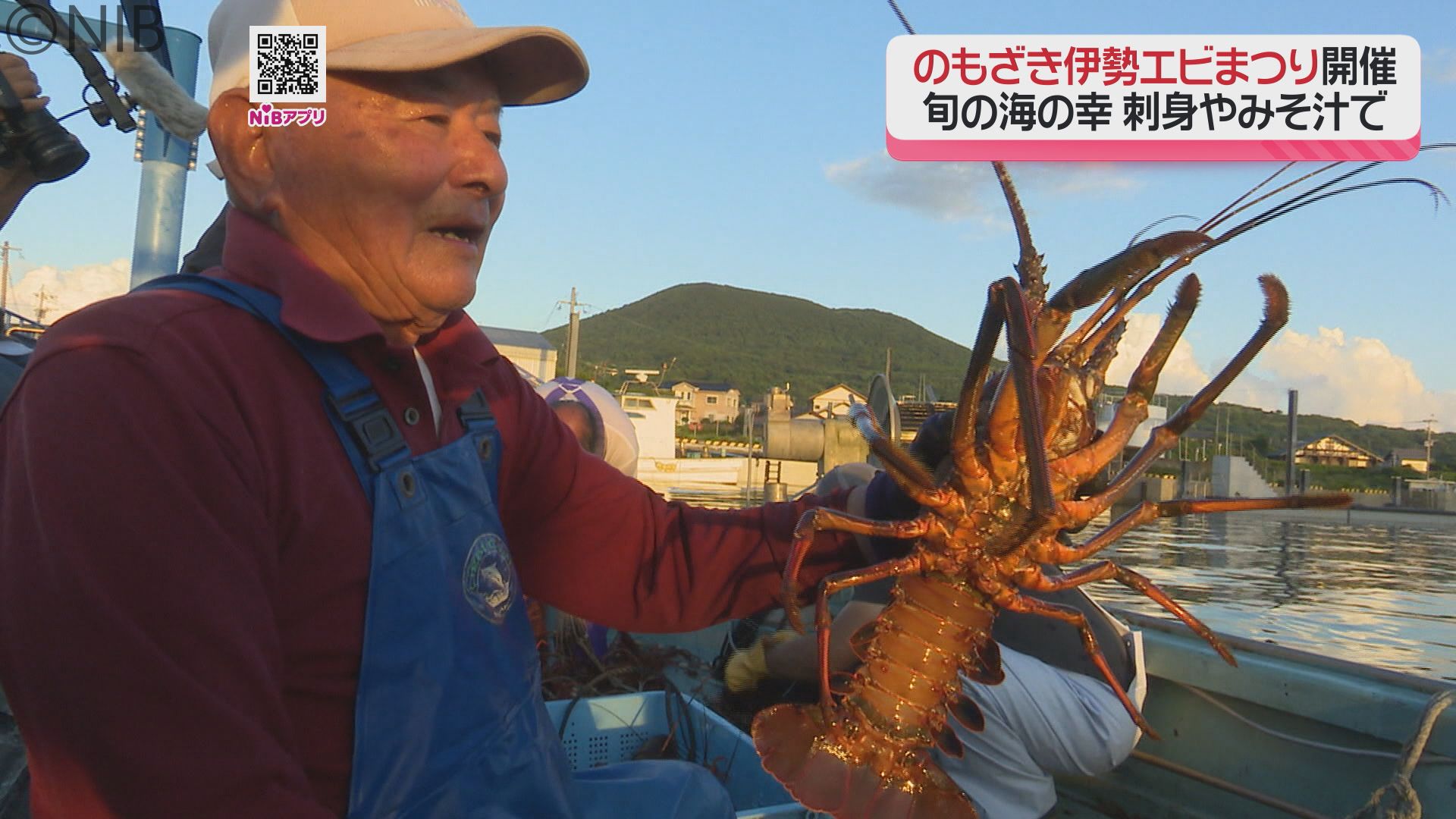 豪華な海の幸” の漁が解禁「プリプリで甘いイセエビが最盛期」週末は
