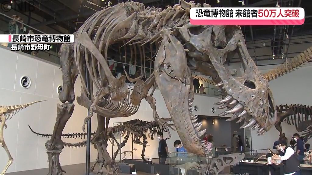 「長崎市恐竜博博館」開館から2年5か月 “来場者50万人突破”　能登半島地震への寄付も実施《長崎》