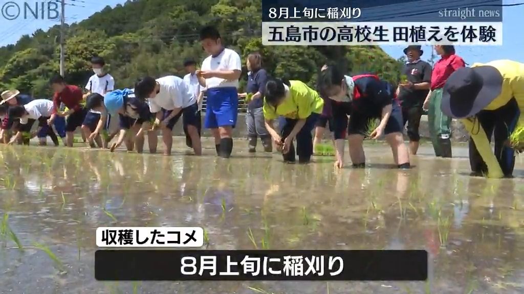 五島市の高校生「田植え体験」農業の尊さ学ぶ恒例行事　8月の稲刈りが楽しみ《長崎》