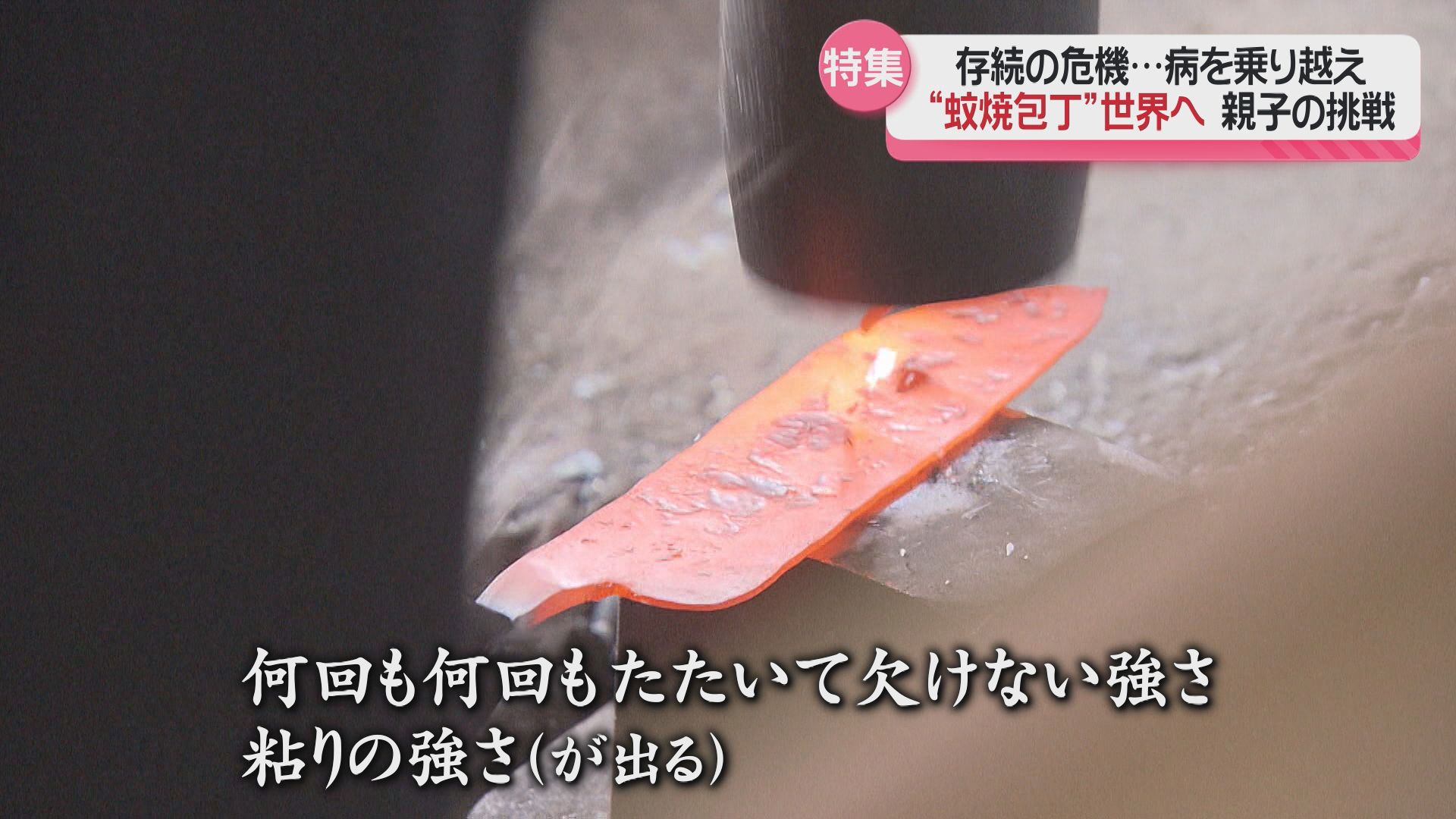 切れ味良く長持ち『蚊焼包丁』インバウンド戦略で世界発信目指す 切れ味良く長持ち『蚊焼包丁』インバウンド戦略で世界発信目指す