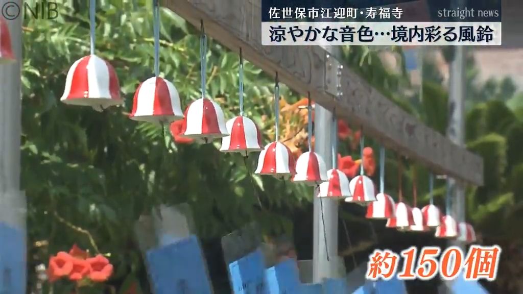 “涼やかな音色響く境内”　江迎町寿福寺で有田焼の紅白風鈴と子どもたちの願い事を展示《長崎》