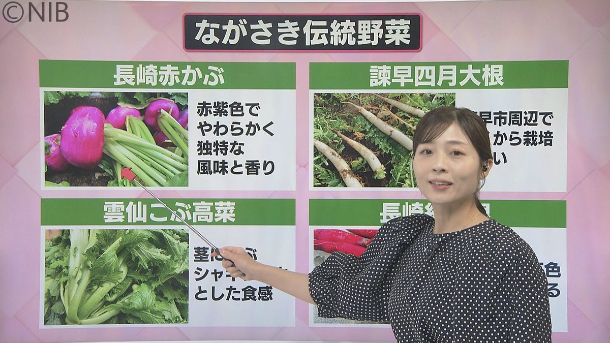 色や形がバラエティ「ながさき伝統野菜」今では希少な “種と栽培方法” を残すための公開講座《長崎》