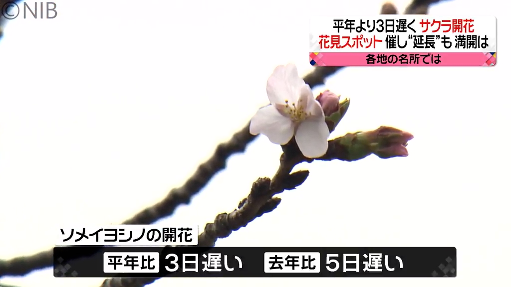 hana.様ご指示分 hana.様ご指示分