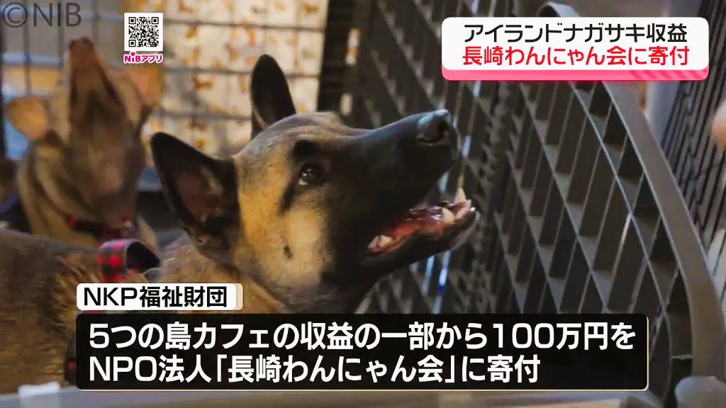 保護犬や保護猫の命をつなぐ取り組み「アイランドナガサキ 動物愛護