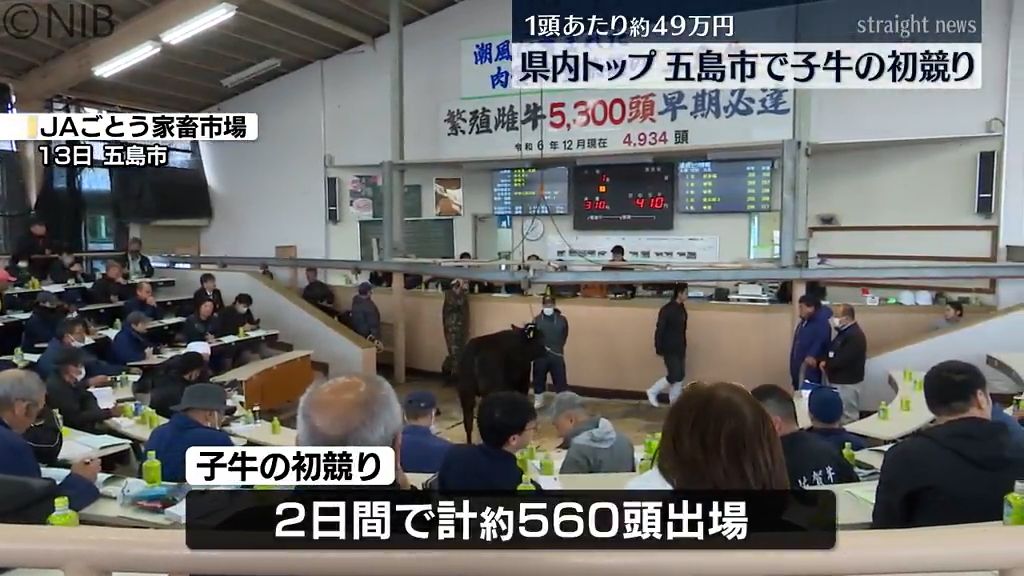 1頭あたり49万円　五島市で「子牛の初競り」エサなどコスト上昇など厳しい値動きが続く《長崎》