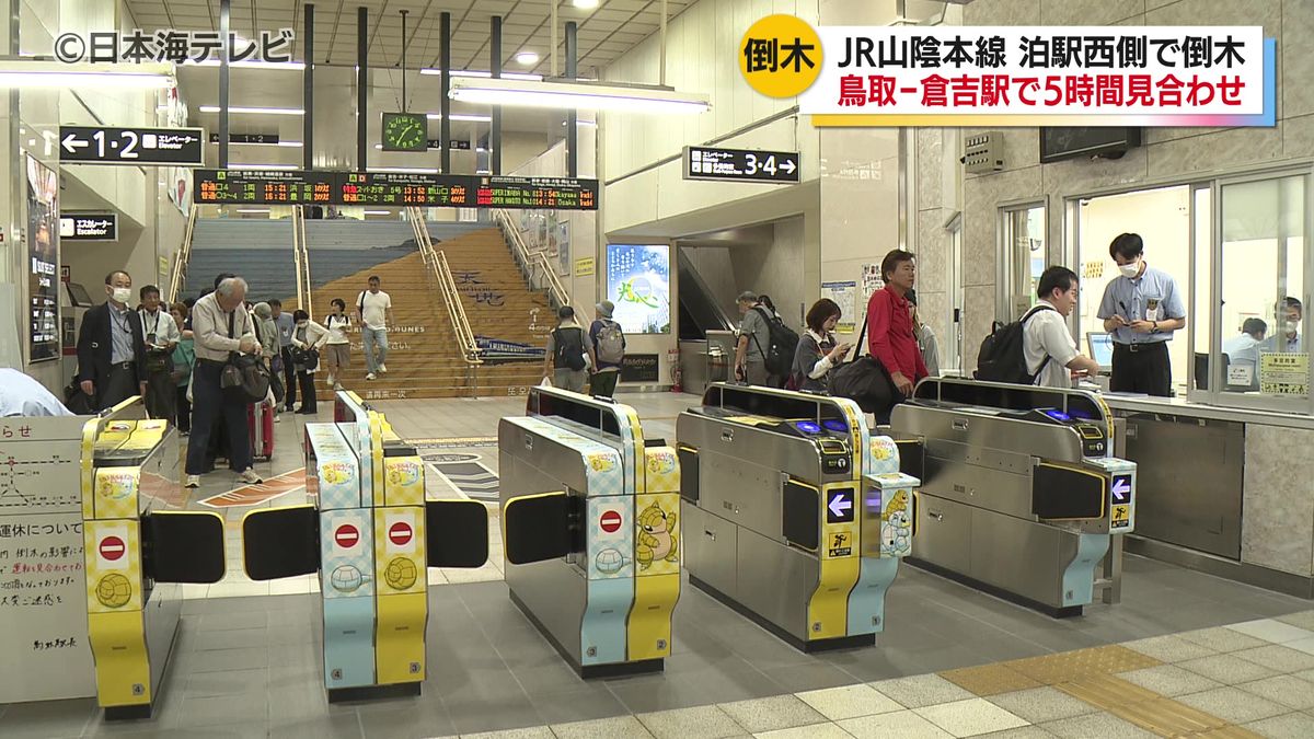 「野宿だ」「どうしようって感じです」　JR山陰本線・泊駅西側で根腐れによる倒木　鳥取～倉吉駅間で約5時間にわたり運転見合わせ　約1500人に影響し戸惑う人々