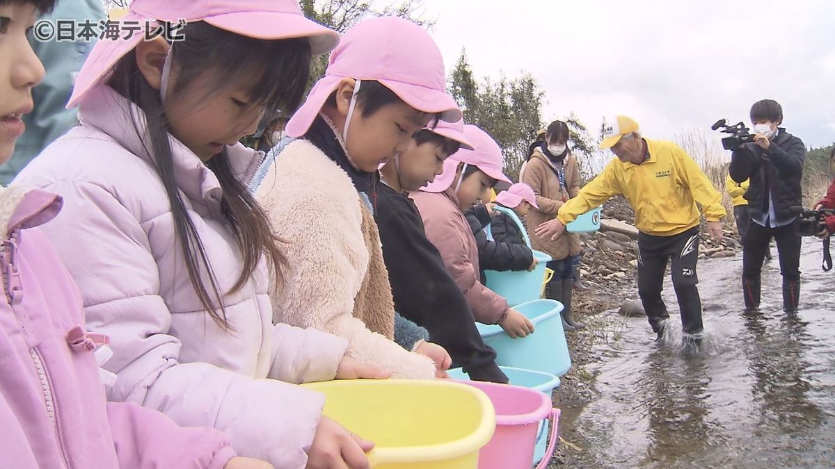 「大きくなーれ！」　園児がサケの稚魚1000匹を日野川に放流　地元の自然に触れてもらおうと毎年開催　鳥取県米子市