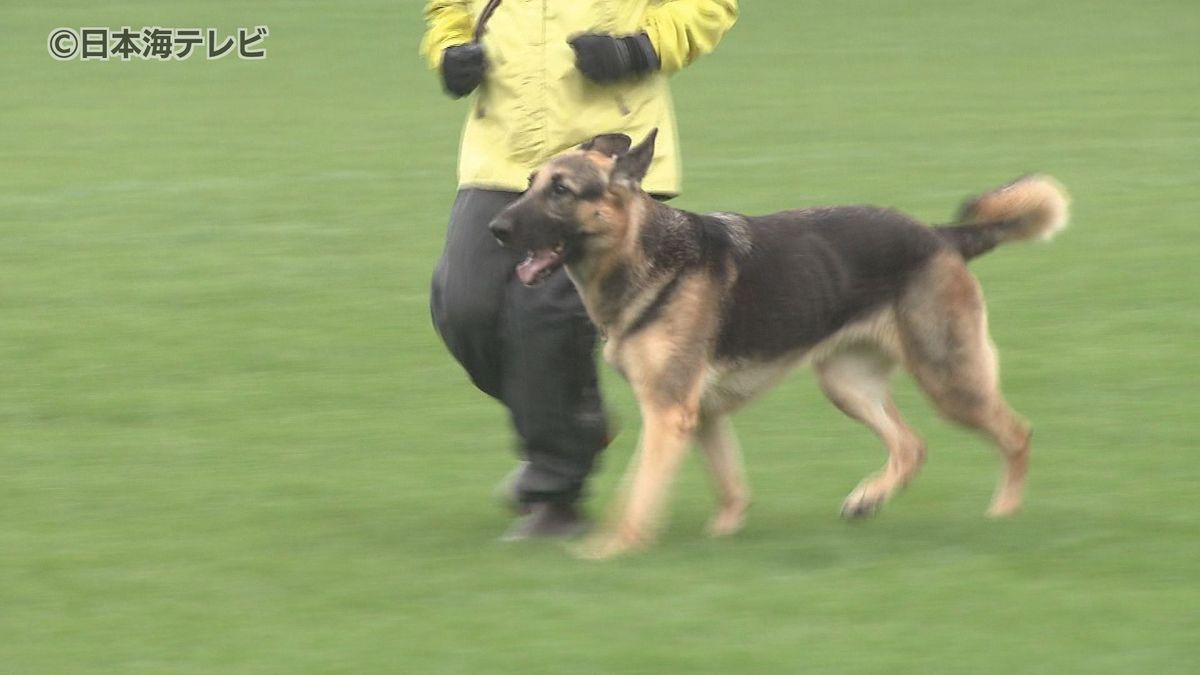 「少しでも社会貢献というかお役に立てれば」　嘱託警察犬の審査会　警察犬の数が減少し確保に課題も　鳥取県鳥取市　