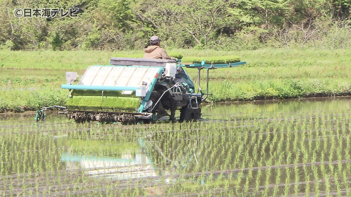 「いくら言われてもないものはない」西日本屈指のコメどころ奥出雲町で田植え作業が最盛期　コメの価格高騰は続き、島根県内でも1年前の約2倍…　コメ農家の心境は　島根県奥出雲町