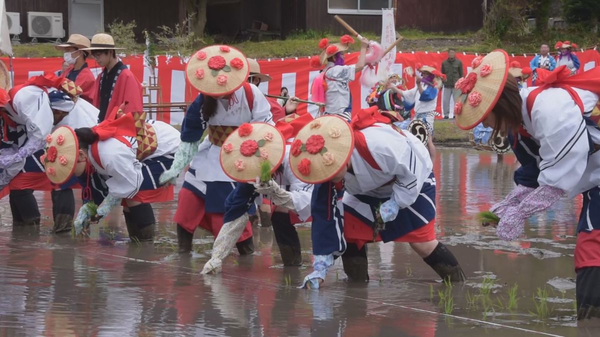 伝統行事『小笠原流田植囃子』が22年ぶりに復活　日本遺産登録から5周年　代搔きと呼ばれるパフォーマンスも　島根県大田市