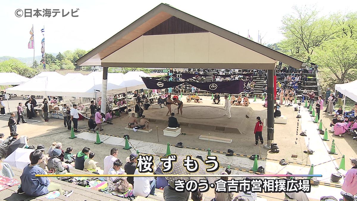 将来の横綱候補？小学生力士たちが真剣勝負「桜ずもう」