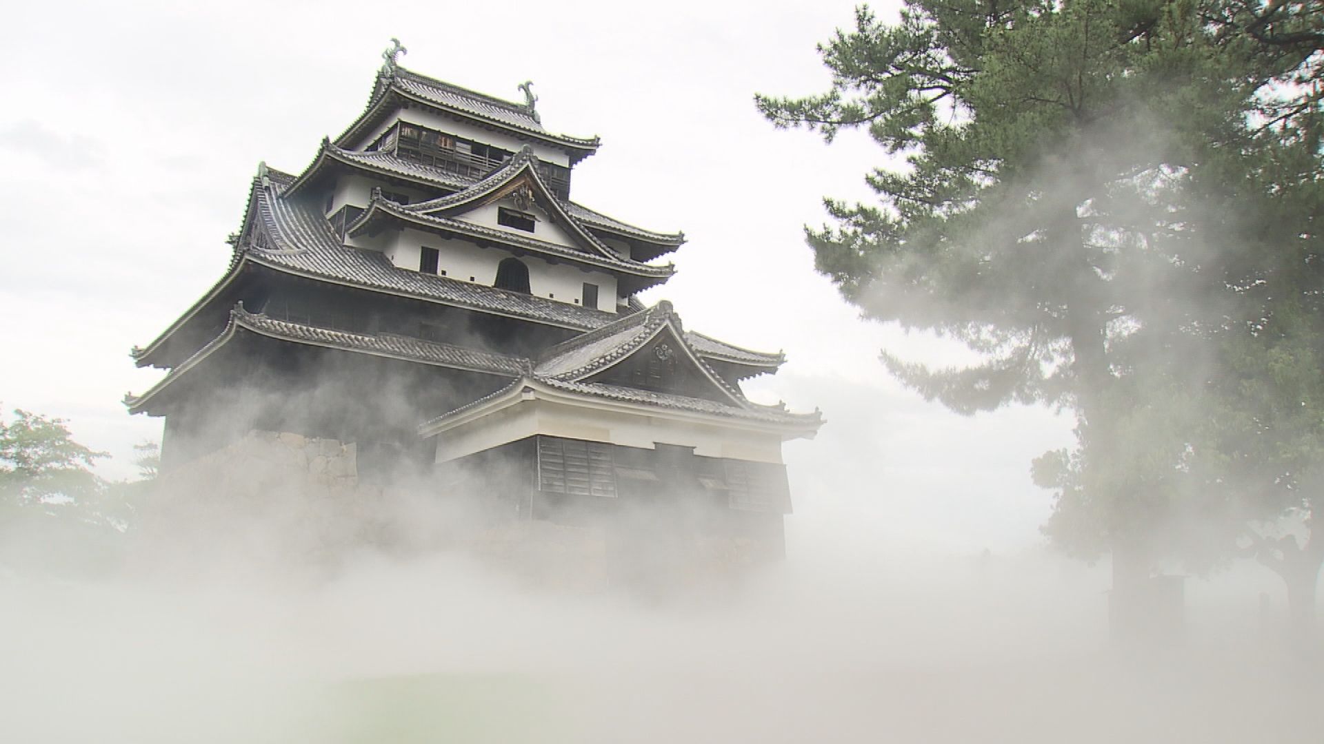 一体何が起こったのかなと思った」松江城を覆い尽くす白い霧 ”雲海
