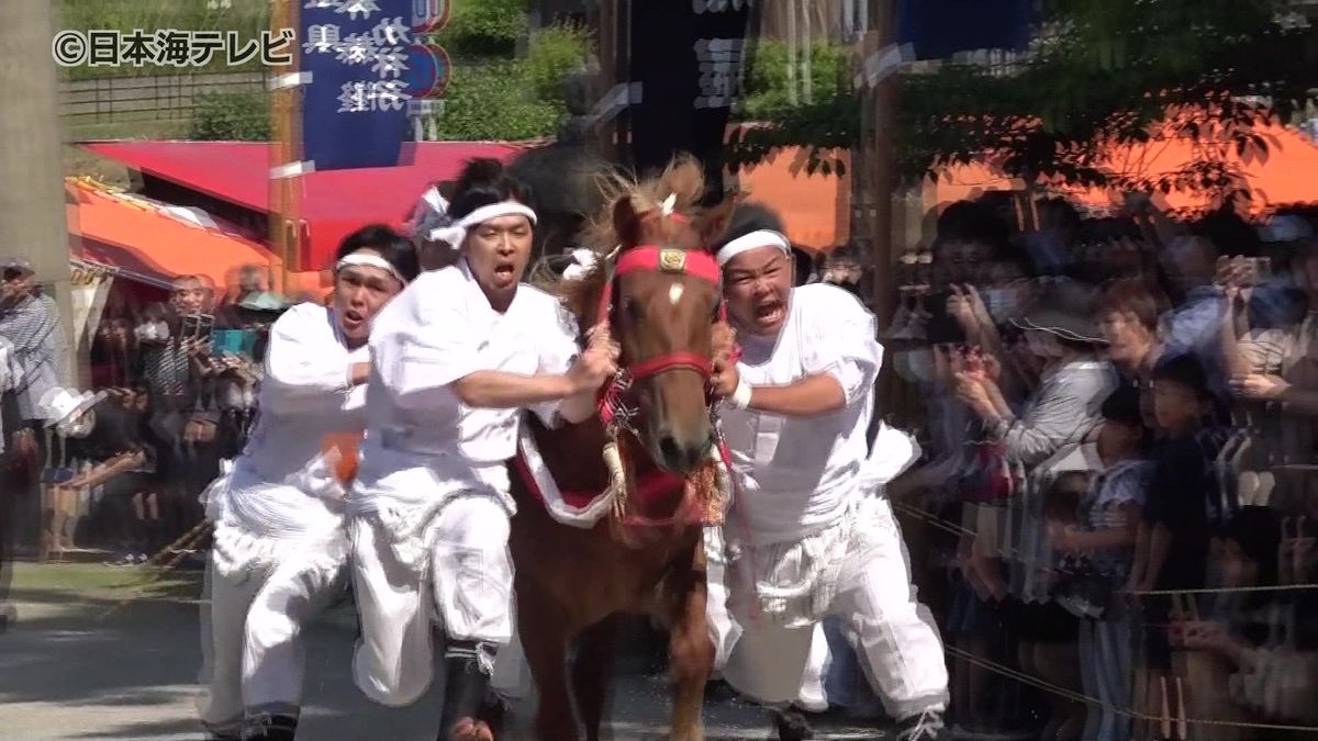 拝殿へと一気に　迫力ある馬の走り　隠岐の島町　玉若酢命神社で「馬入れ神事」