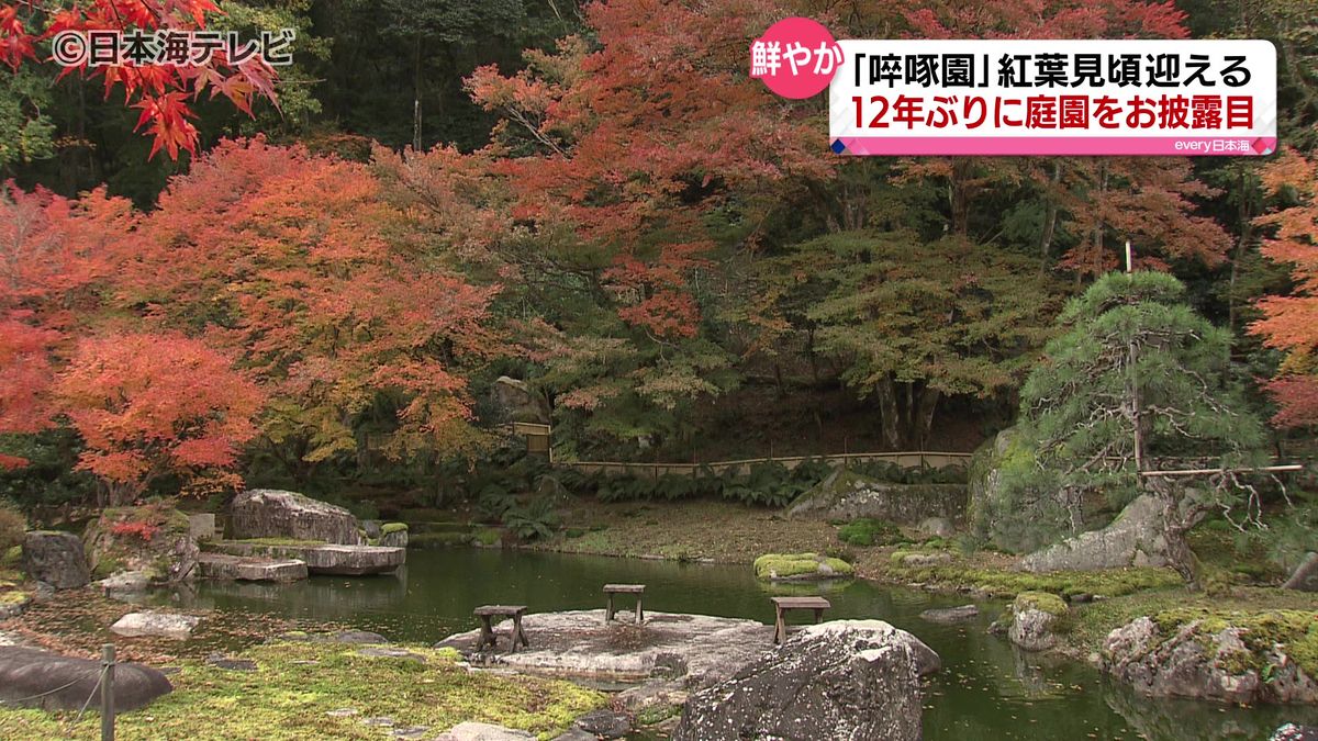 12年ぶりに実現　赤く色づく紅葉の時期に名庭「啐啄園」を特別公開　鳥取県鳥取市