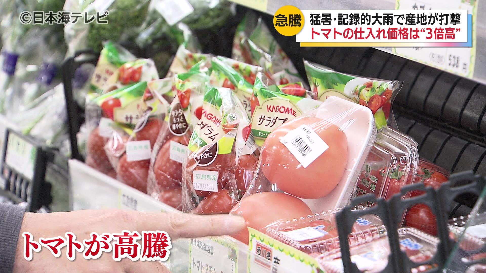 仕入れ価格は去年の約3倍 入荷量は通常の5分の1 トマトの価格が高騰中