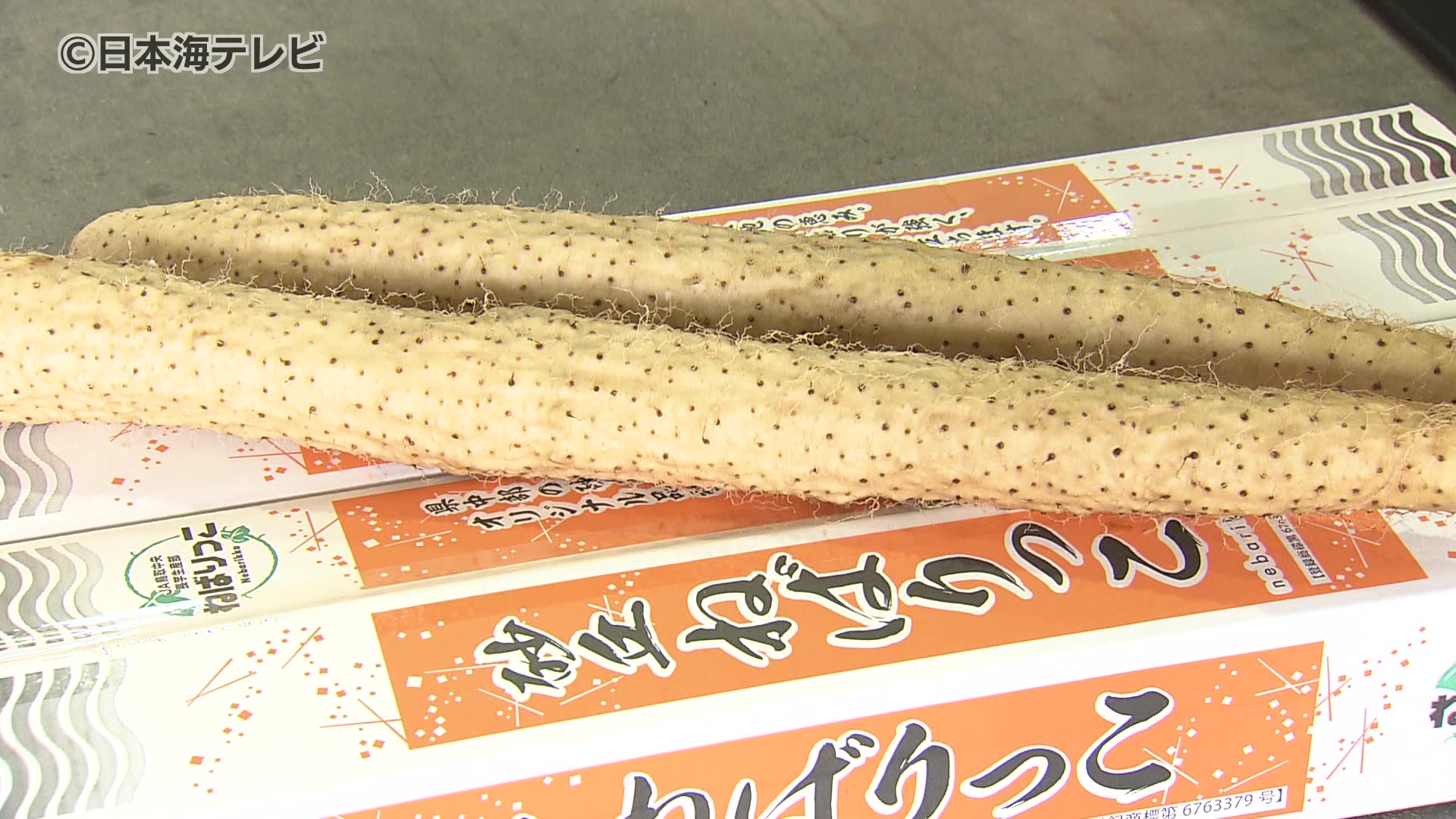 特産品「ねばりっこ」の出荷式 少雨で生育が心配されるも平年通りの