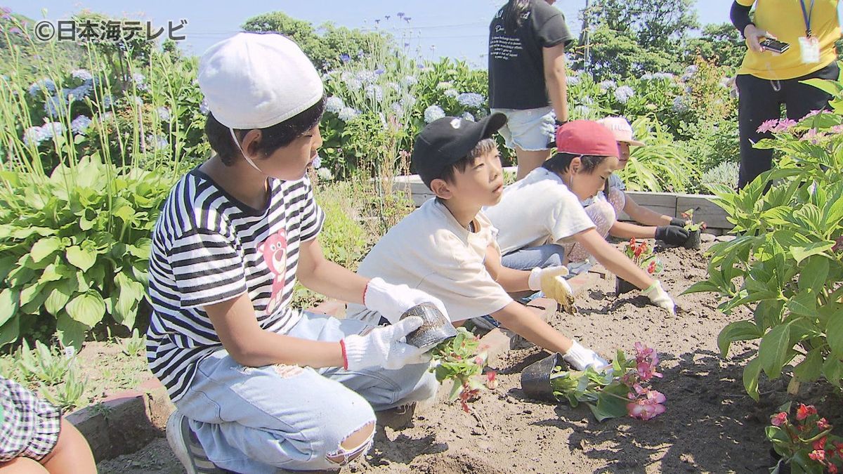 「みんなが笑顔で和んで帰られるのが一番の喜び」小学生があじさい公園で学習　地域の人と一緒に苗植えも　鳥取県鳥取市　