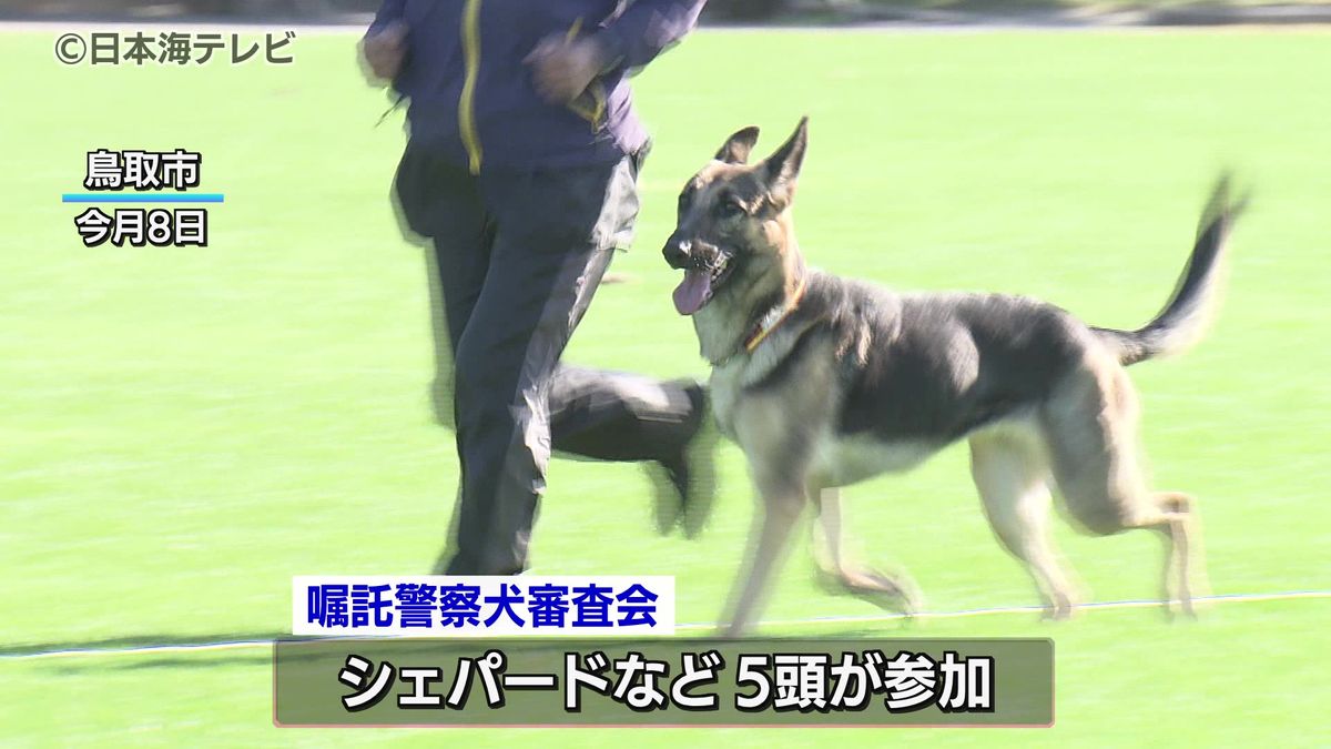 シェパードやラブラドールリトリーバーなどが参加　嘱託警察犬の審査会　合格で1年間活動　鳥取県鳥取市