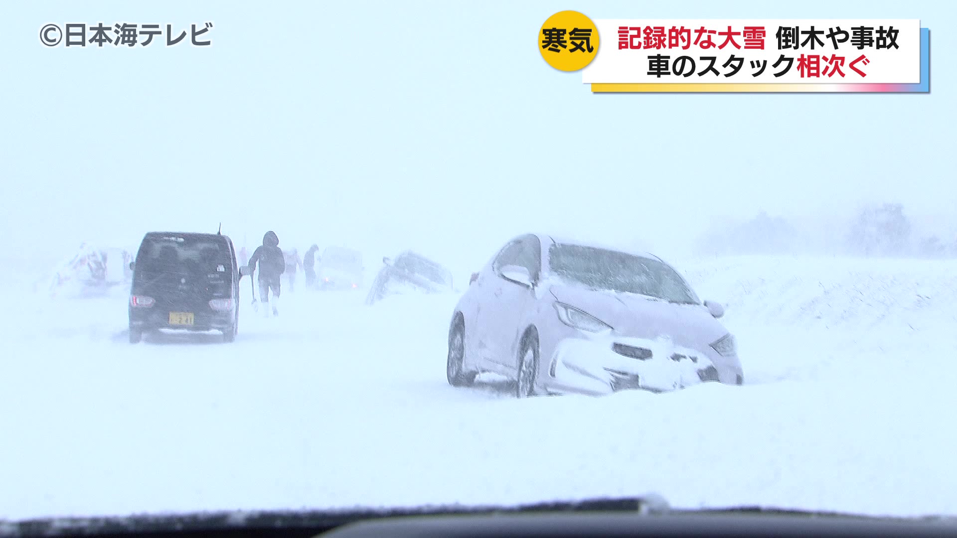 山陰両県で記録的な大雪 倒木や車の事故など各地で雪の被害 鳥取では9