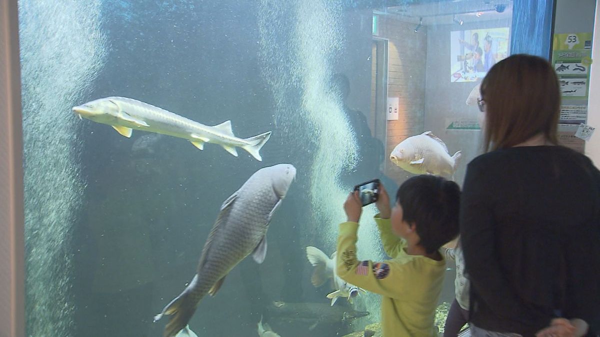 「珍しいだけでは済まない」　出雲市にある水族館も多くのにぎわい　ひときわ注目を集めていたのは生態系に影響を与えかねない"外来種"　島根県