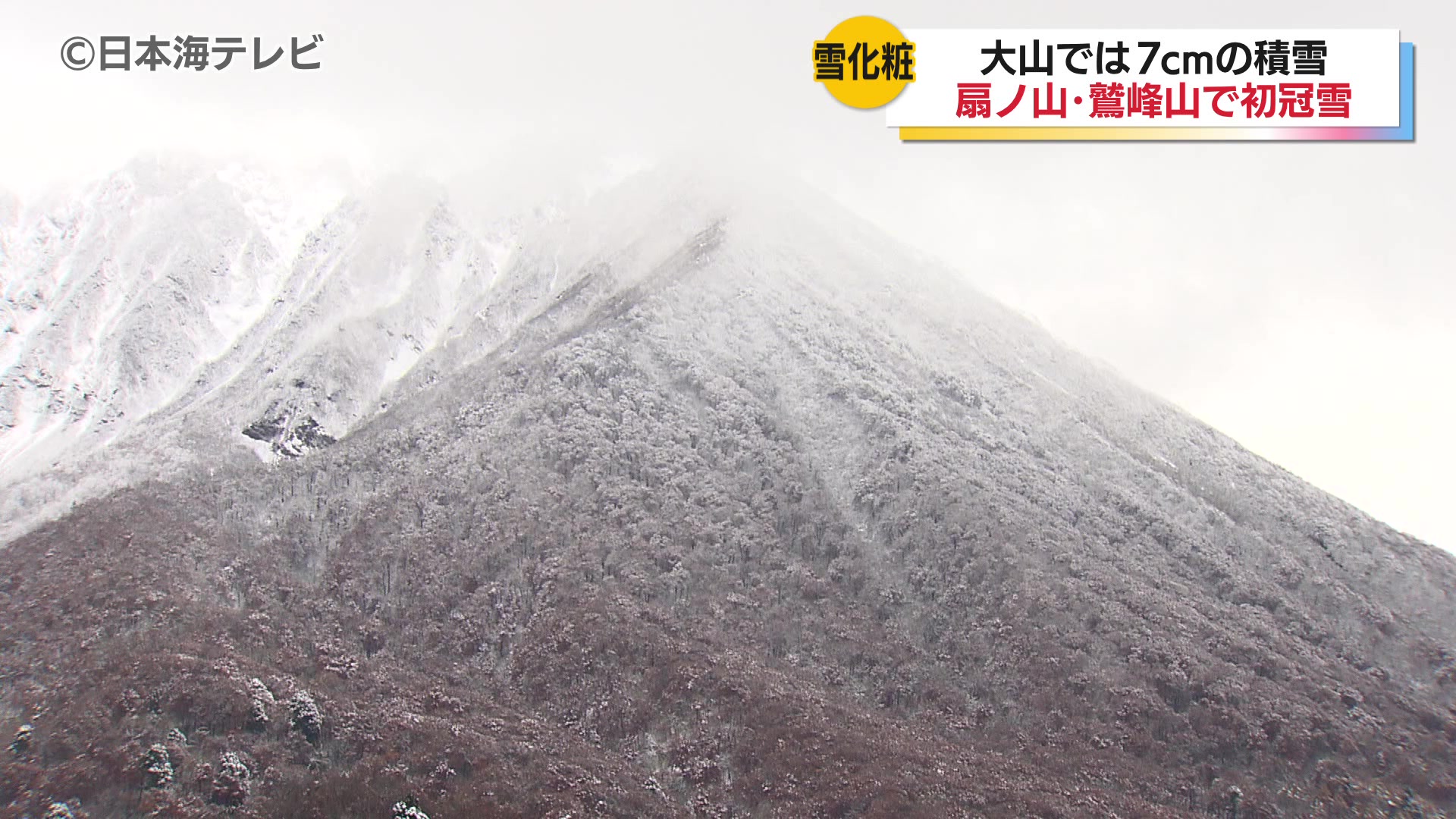 山採り 蝦夷松 冬囲い前の特別価格 蝦夷松山・雁皮山】函館市街を見下ろす岩尾根の稜線｜Sapporo Nature