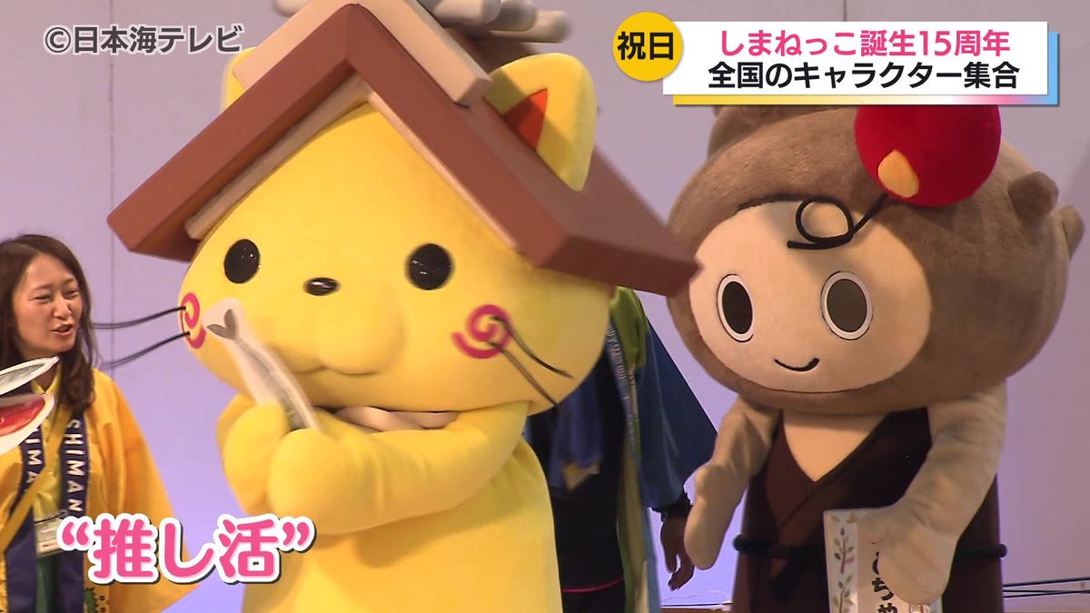 しまねっこ」誕生から15周年 「くまモン」や「ひこにゃん」など全国 