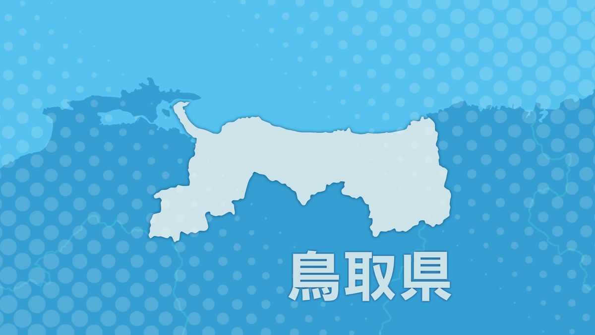 40歳以上の男女の被害が増加 SNS型ロマンス詐欺で60代女性が約732万円を騙し取られる 好意を寄せるメッセージが来るようになり女性も好意を寄せる  鳥取県米子市（2025年6月23日掲載）｜日本海テレビNEWS NNN