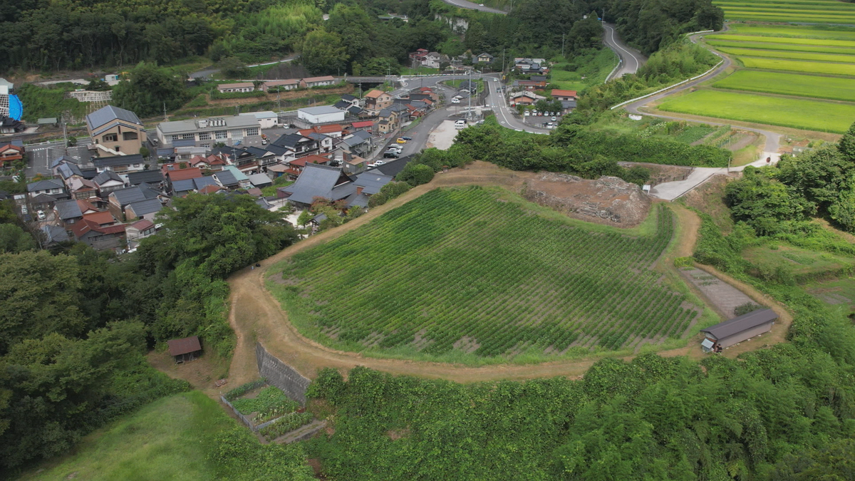 江美城跡