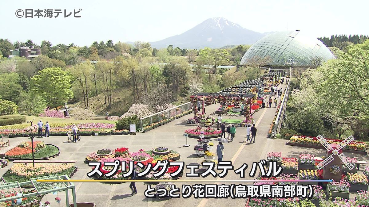 とっとり花回廊　春の花が見ごろ（鳥取県南部町）