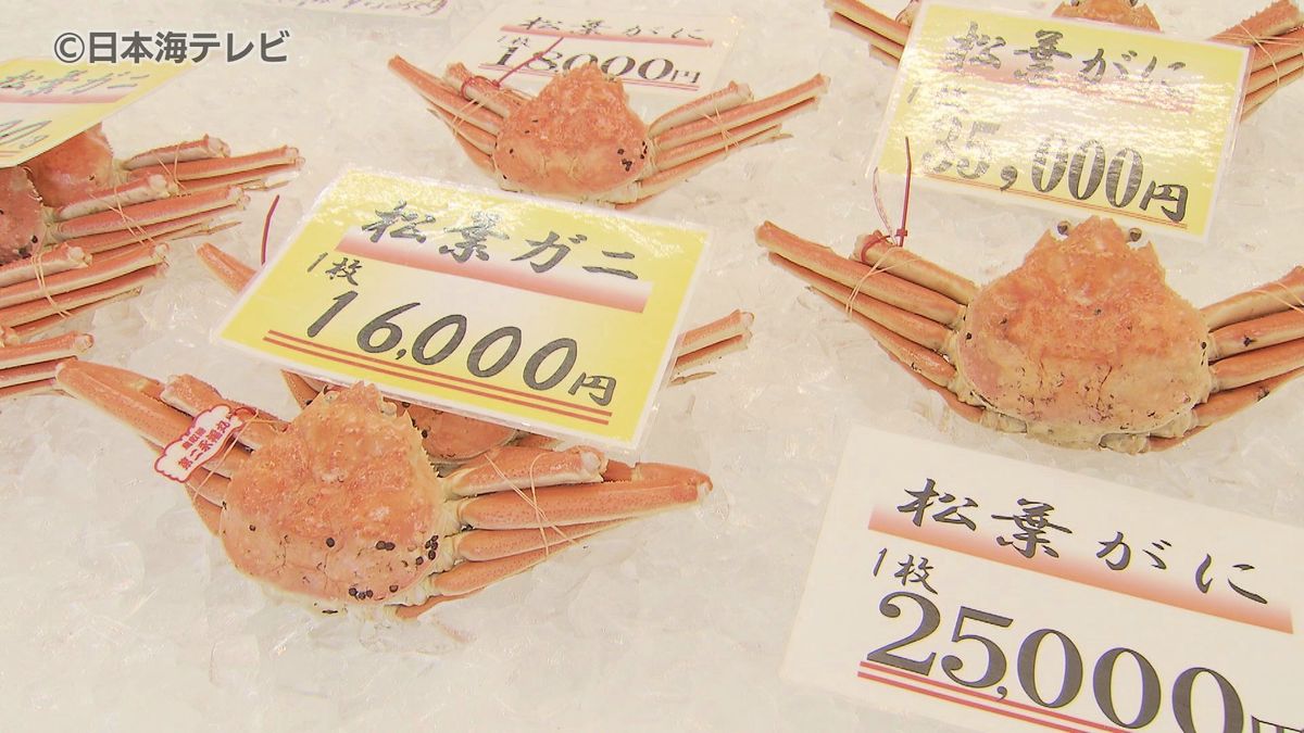漁解禁のズワイガニが店頭に！　時化の影響などで価格が例年の2倍となるも…　「やっぱり冬はカニを食べに来なきゃ」　鳥取県鳥取市