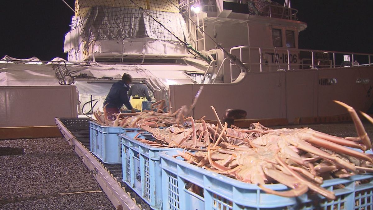 ズワイガニ漁 鳥取県内ではオスの松葉がにの水揚げ量が前年に比べ12%減少