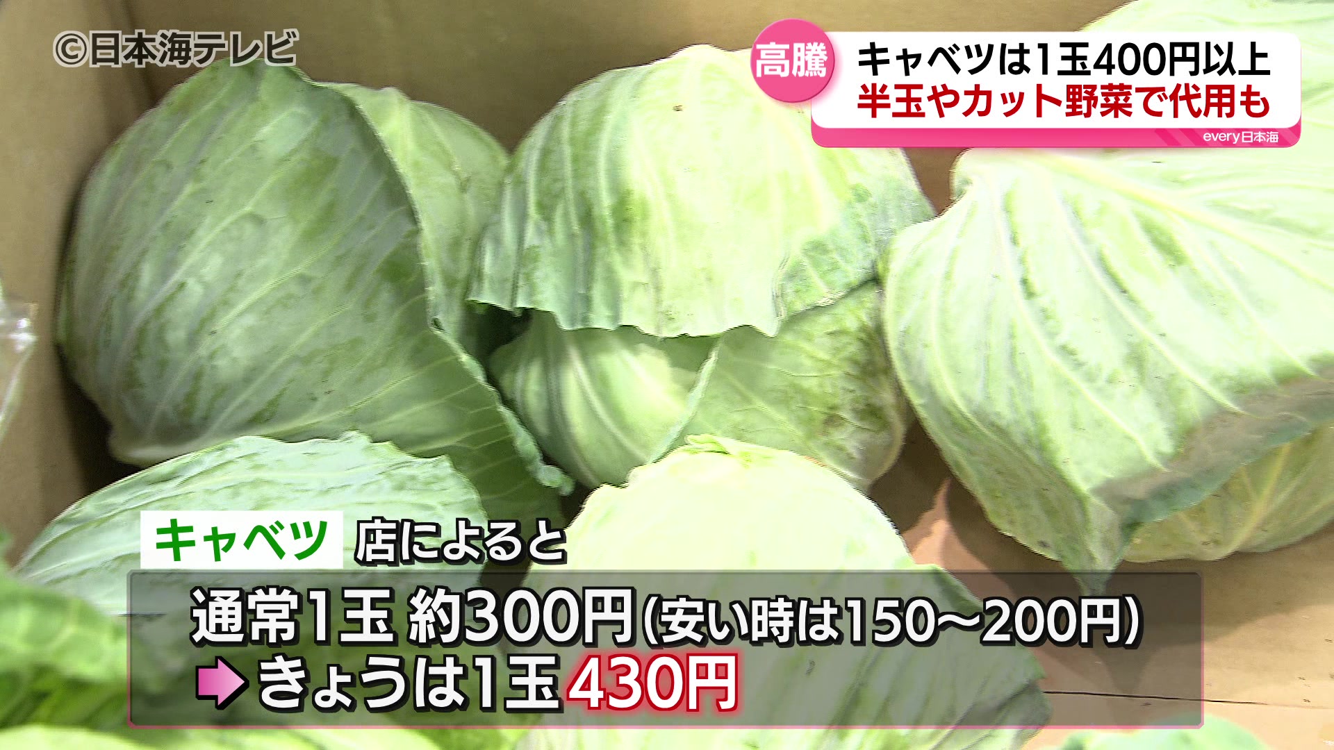 葉物野菜で価格の高騰 キャベツの産地で生育不良  家計に直撃する野菜の高騰を受け、節約のために家庭菜園をする人も（2024年5月13日掲載）｜日本海テレビNEWS NNN