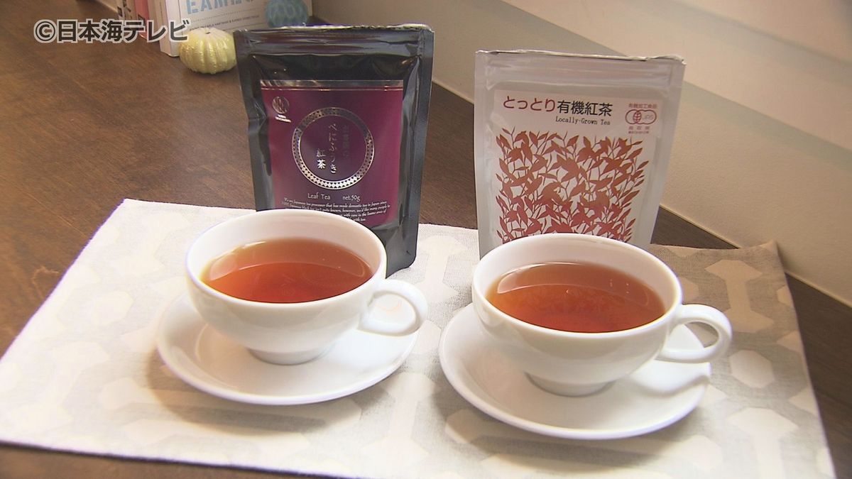 海外でも評価が高まる“国産紅茶”　山陰両県の紅茶にも注目！　紅茶の専門家が特徴を解説　おいしく飲めるいれ方は…「あんまり考えなくても適当でいい」　鳥取県・島根県