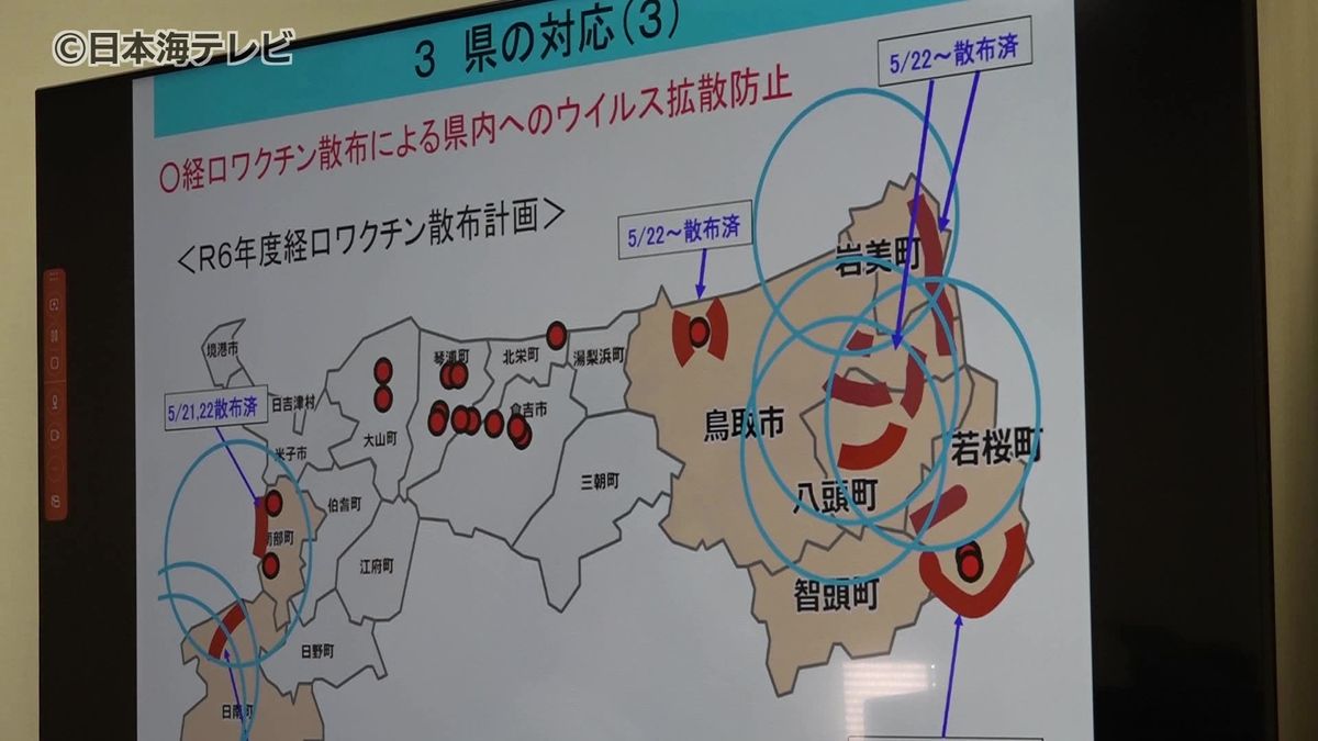「注意を今一度レベルを上げて」　鳥取県西部では初確認　衰弱したイノシシから豚熱　