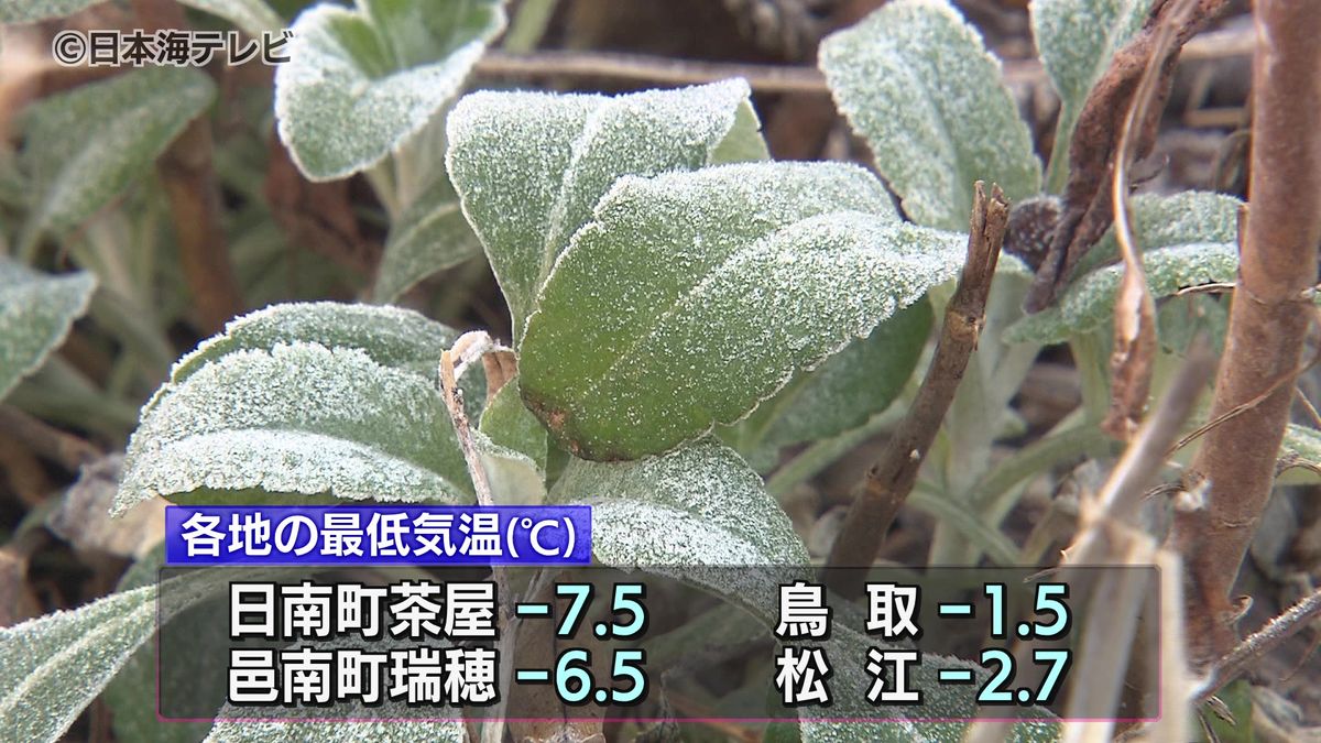 山陰地方で厳しい冷え込み　鳥取県で6か所・島根県で13か所で今季一番の寒さ
