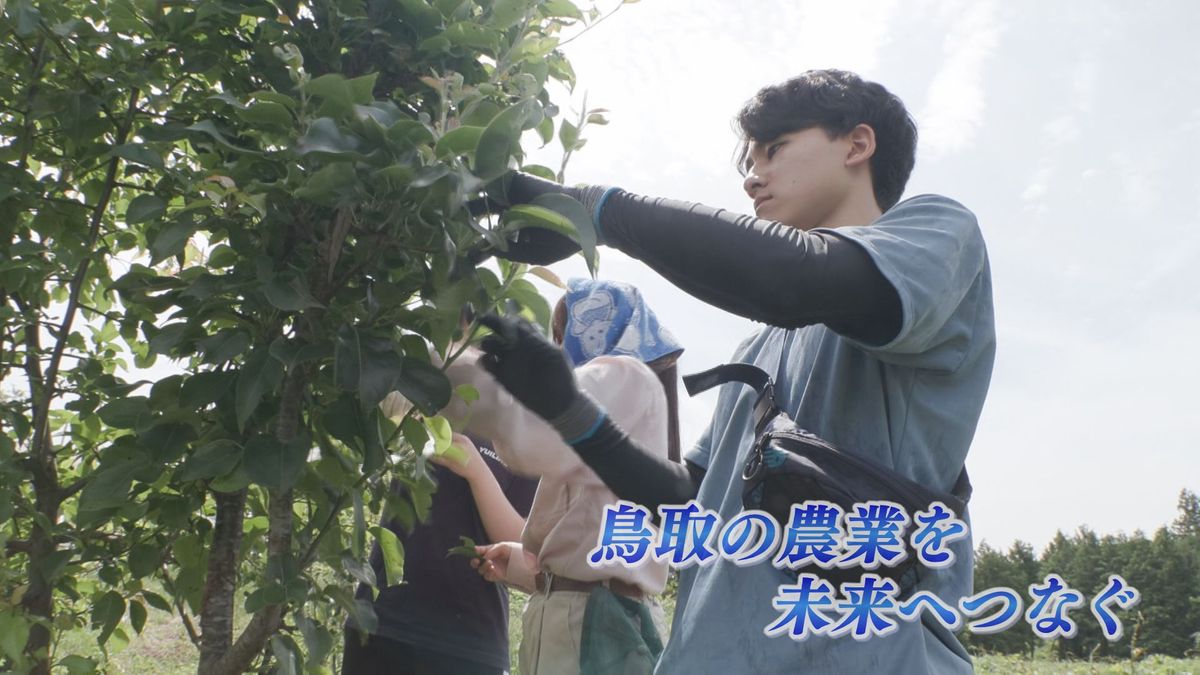 鳥取の大学生たちが生み出した梨葉クッキー