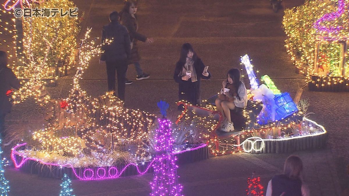 中国地方最大級100万個のLED電球を使った光と花の祭典 「フラワーイルミネーション」11月15日から開催 鳥取県南部町・とっとり花回廊
